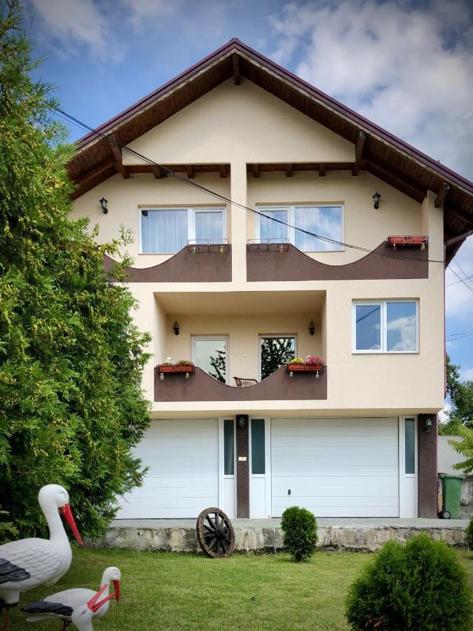 Casa Paunescu Milostea Ngoại thất bức ảnh